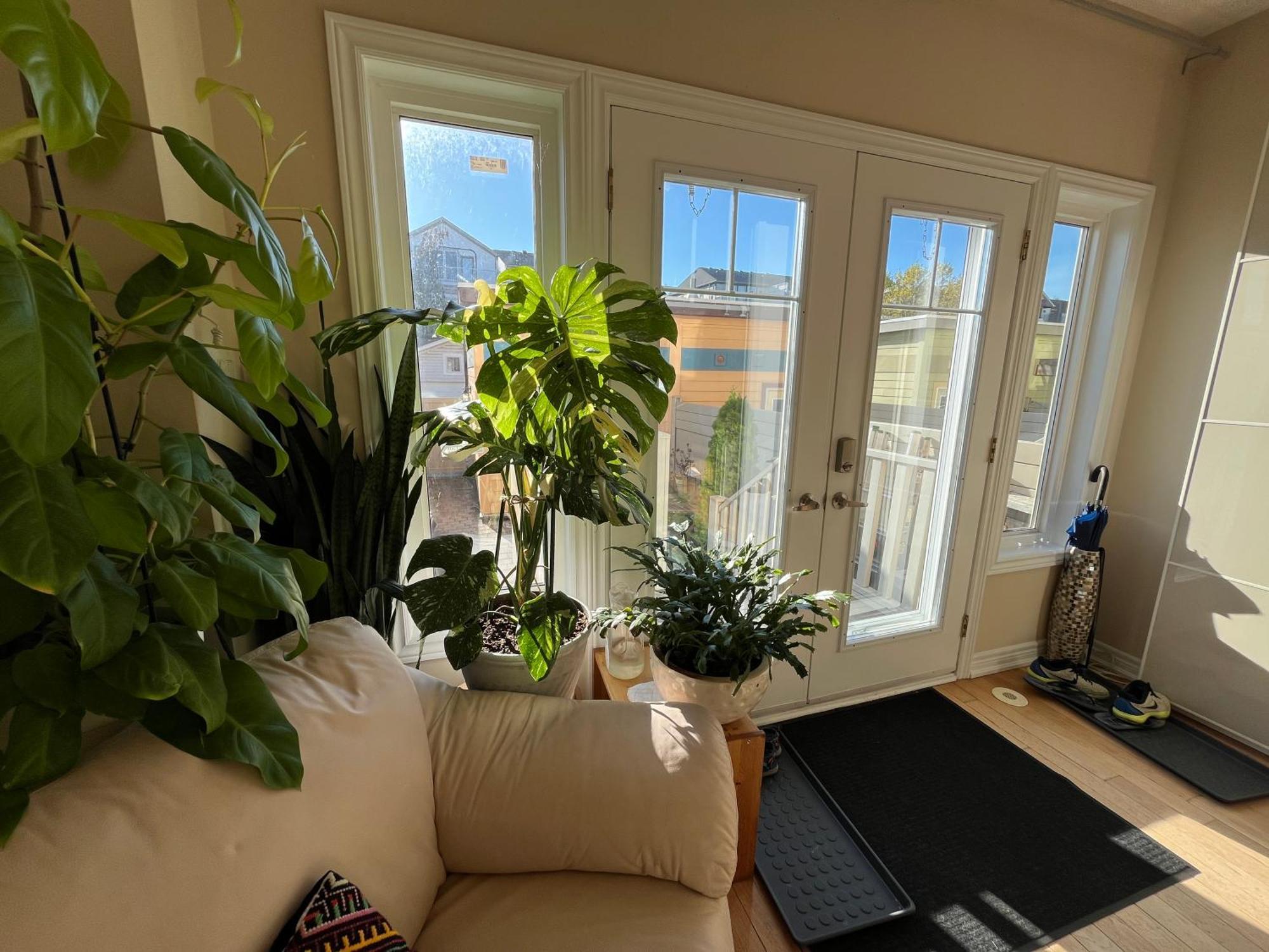 Stunning Rooms In Townhouse Across The Beach Toronto Exteriör bild